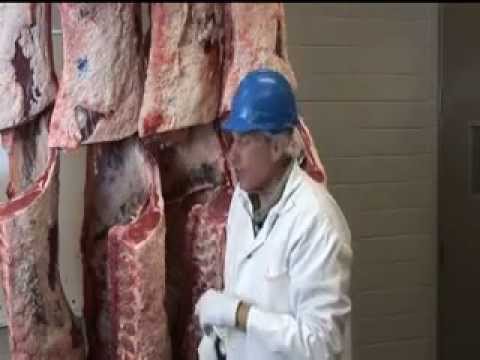 Beef Quality Grading