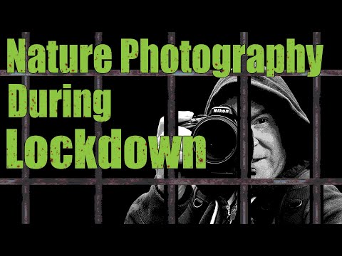 Nature Photography During Lockdown - Nature Photography Ideas At Home