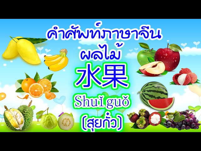 ศัพท์ภาษาจีน ผลไม้ | คำศัพท์ภาษาจีนเบื้องต้น สำหรับเด็กอนุบาล ประถมศึกษา ผู้เริ่มต้นเรียนภาษาจีน