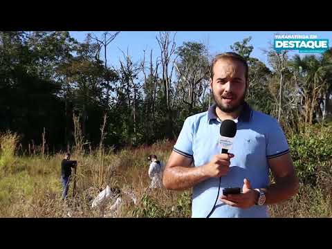 Jornal Paranatinga em Destaque, destaca ação da Polícia Civil na descoberta de corpos que teriam sido mortos por facções criminosa