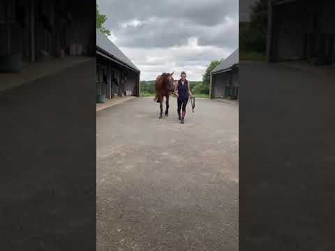 Video 1