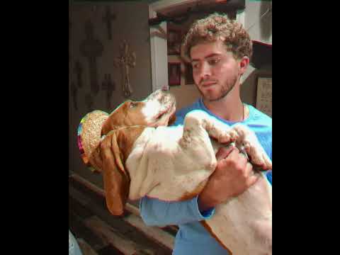 HARDY BOYS (ft. Keenan Maxie)