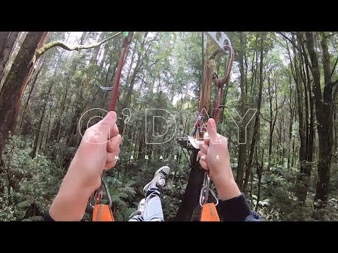 G'DAY Magazine: Fly Through the Rainforest