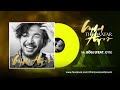 Setgel nerne album Vinyl demo