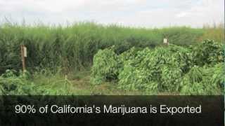 2 Day Tour:  Fresno County Sheriff, Medical Marijuana Eradication