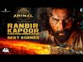 ANIMAL PURE RAGE COMPILATION BEST SCENES RANBIR KAPOOR SANDEEP REDDY VANGA BHUSHAN KUMAR