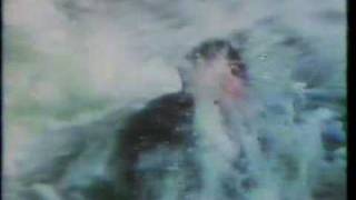 Beyond the Poseidon Adventure (1979) Video