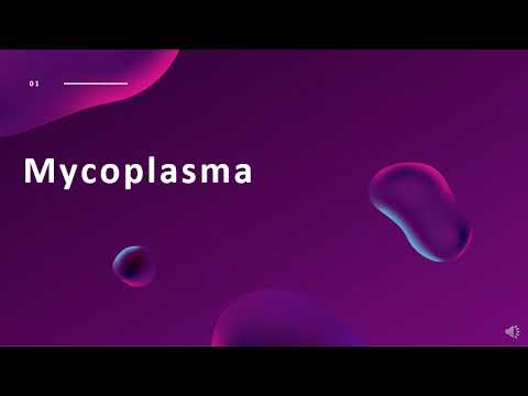 , title : 'Mycoplasma Bakteri Kebal Terhadap Antibiotik'