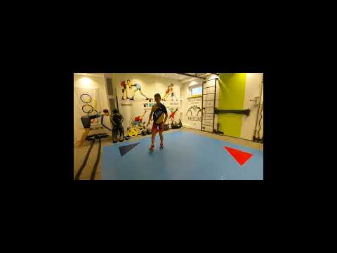 Mike Seel Flickflack Tutorial