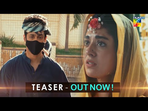 Mere Damad - Teaser 01 - Coming Soon - #noorkhan #shaguftaejaz - HUM TV