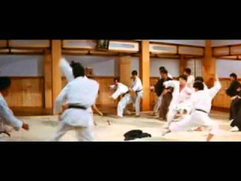 Bruce lee pesnica besa