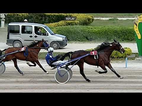 Aversa trotto 10 Aprile 2021 - 2° Corsa