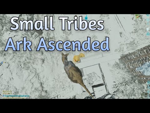 First Ever BossFight On Small Tribes Ark Ascended PVP
