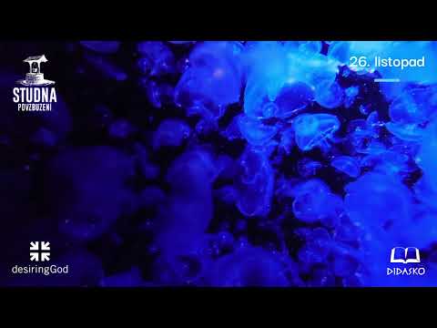 Ježíš se za nás modlí - 26. listopad, denní zamyšlení s Johnem Piperem