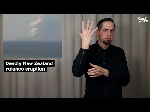 The Daily Moth 12-9-19