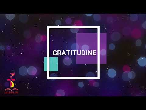Gratitudine - Ministero Mashalem