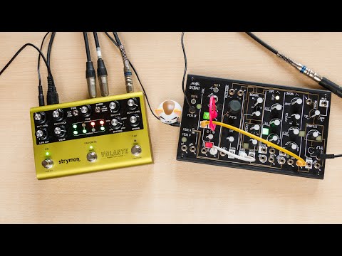 Fallen leaves [Sequence for Make Noise 0-Coast and Strymon Volante]