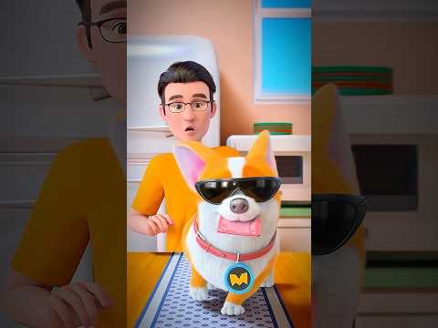 Moco squeezes out the leftovers🐕😀#moco #shorts #edit