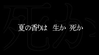 DistortedCode -Seija no Nokoriga- video 1