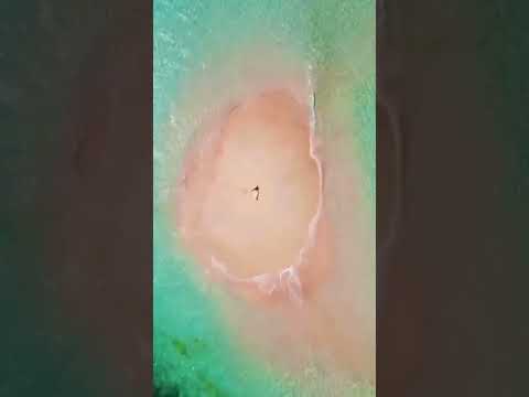 LOMBOK NATURAL🍀💞 #lombok #indonesia #viralshort #viralvideo #everyone #explore #nature #ytshortviral