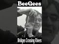 Bee Gees “Bridges Crossing Rivers” 1968