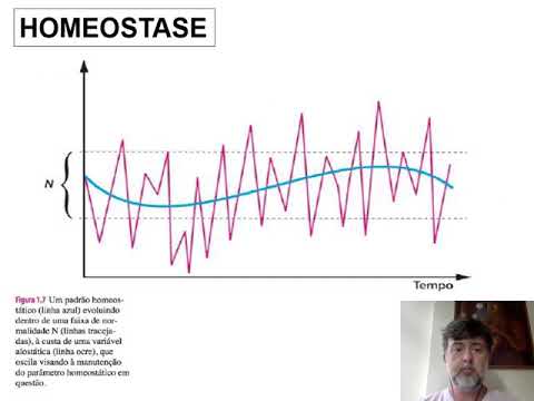 Neurociencias aula 11   Homeostase parte 1