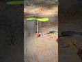 2024 Diwali Crackers Experiment Shorts Shortvideo