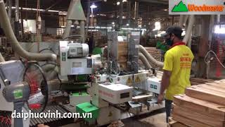 Woodmaster Cnc. MÁY PHAY MỘNG 2 đâu Cnc 4 dao đa năng tốt nhất thị trường VN 2020