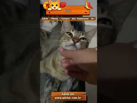 Vídeo de kiara