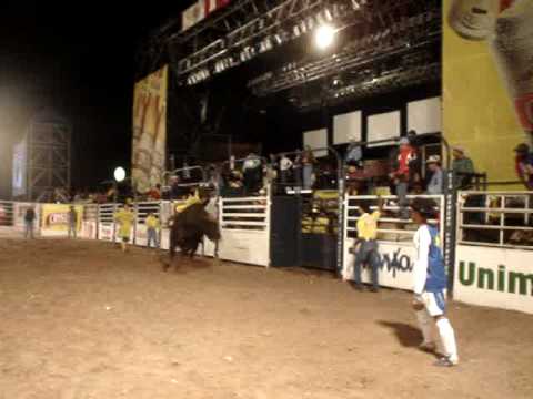 Fabricio Alves x Brasileiro