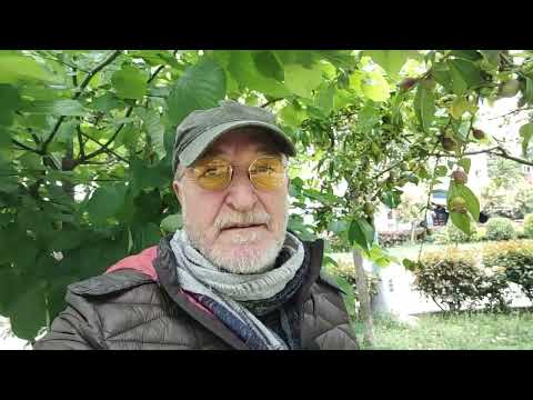 Seviyorum ulan, seni uzaktan seviyorum 🎙️