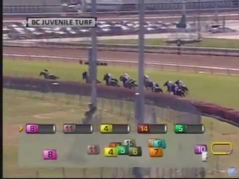 2011 Breeders Cup Juvenile Turf (Wrote)