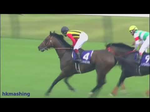 2012 Yasuda Kinen G1 - Strong Return (強勁回報) - Y.Fukunaga