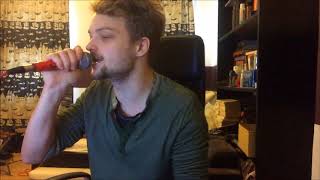 Novelists   À Travers Le Miroir   VOCAL COVER