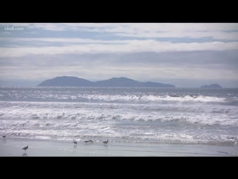 San Diego County issues beach water advisory following overnight rain