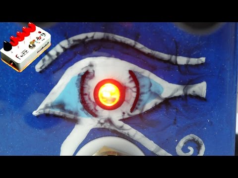 Build Report - Rullywow King Tut Fuzz