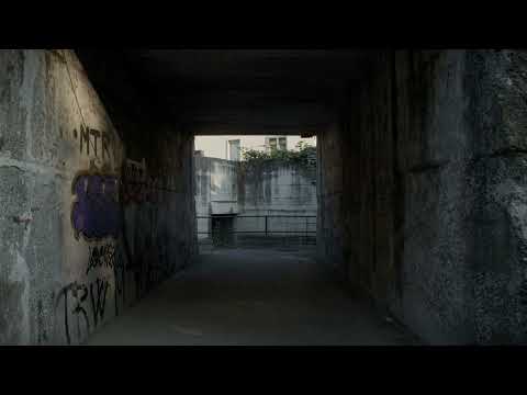 video frame placeholder