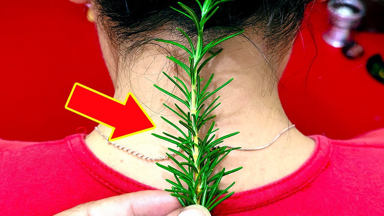 Put 1 rosemary on the back of your neck and stop spending money at the pharmacy (Did you know that?)
