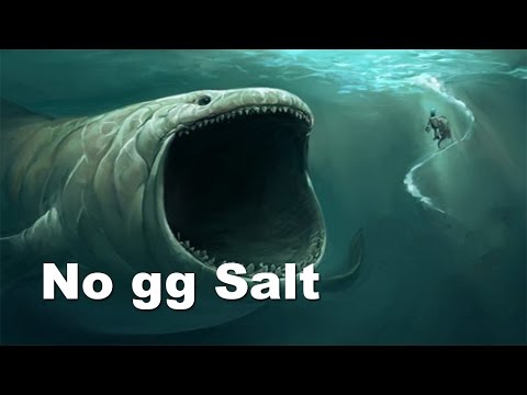 No gg Saltiest Game NADota - Na`Vi.US vs Leviathan