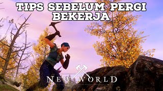 Tips sebelum berangkat bekerja (Mining ,Gathering dll ) | New World Indonesia