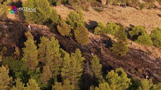 ΒΟΛΟΣ: ΥΠΟ ΠΛΗΡΗ ΕΛΕΓΧΟ Η ΠΥΡΚΑΓΙΑ ΣΤΗΝ ΠΕΡΙΟΧΗ ΜΕΤΑΞΥ ΣΑΡΑΚΗΝΟΥ - ΑΓΙΑΣ ΠΑΡΑΣΚΕΥΗΣ 22 09 2025