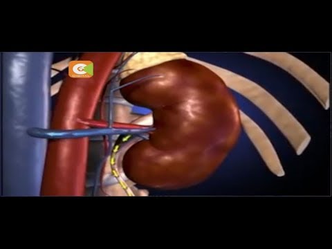 DOKEZO LA AFYA | Athari za kutokunywa maji