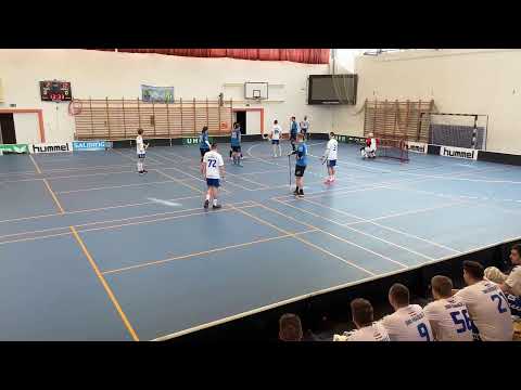 Dunai Krokodilok SE - Ares HC Salming OB1