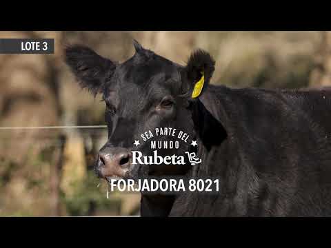 RUBETA FORJADORA 8021 -LOTE 3