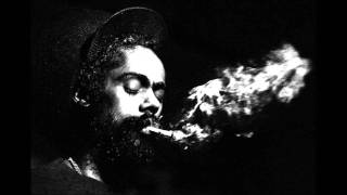 Damian Marley - Me Name is Junior Gong
