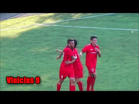 Vinicius / Centroavante  (Temporada 2018 - Europa)