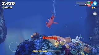 Play with smooth hammerheads for the first time video 53