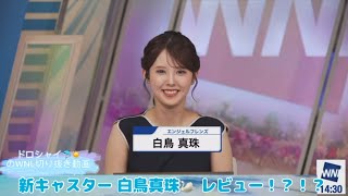 【白鳥真珠】新キャスター 白鳥真珠🦢 レビュー！？！？【ウェザーニュースLIVE切り抜き】【小川千奈】