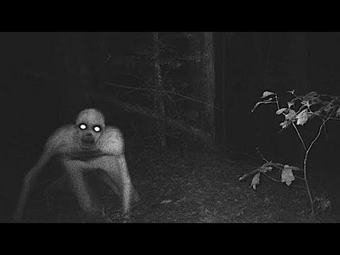 TERRIFYING Creatures Caught On Camera