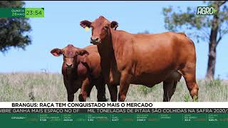 Miniatura do vídeo